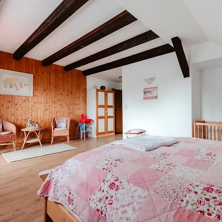 Olifant In Osterode Apartment *