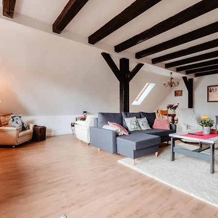 Apartment Olifant In Osterode *