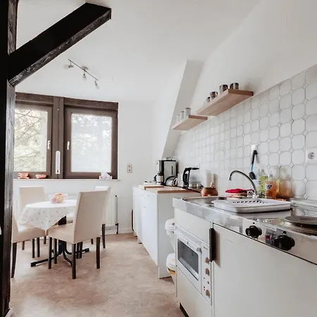 Olifant In Osterode Osterode am Harz