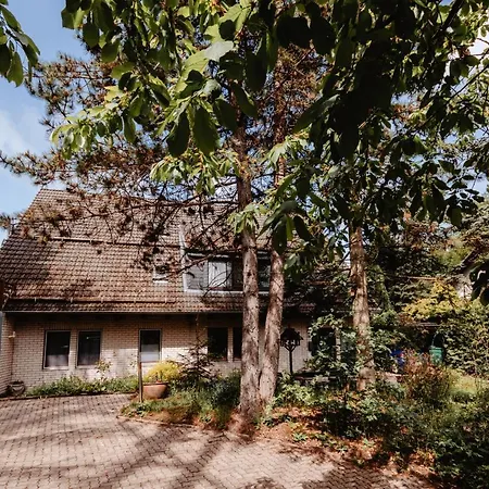 Olifant In Osterode * Osterode am Harz