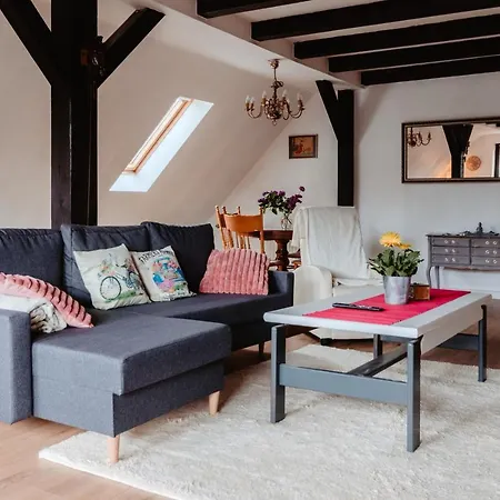 Olifant In Osterode Apartment Osterode am Harz