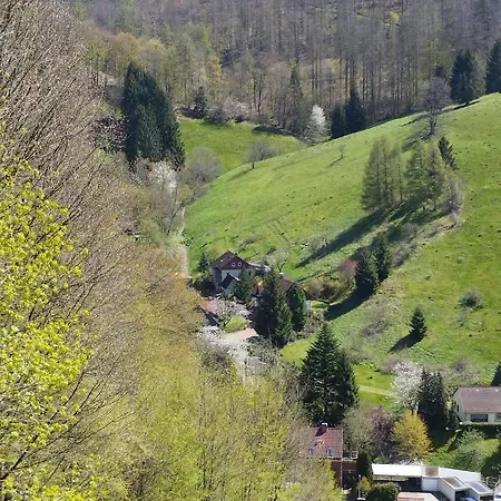 Olifant In Osterode