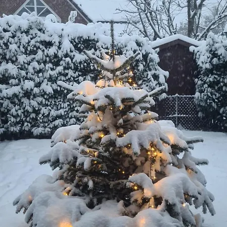 Olifant In Osterode Osterode am Harz
