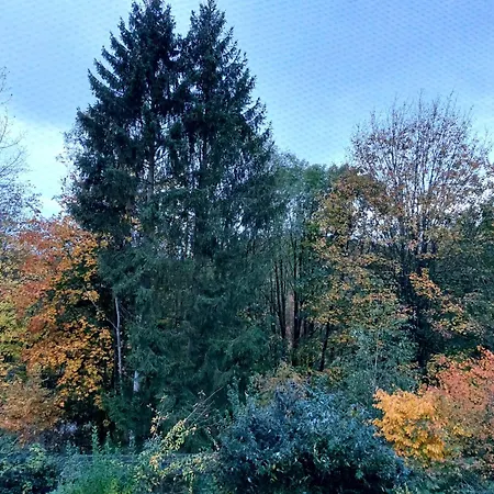 Olifant In Osterode Lejlighed *