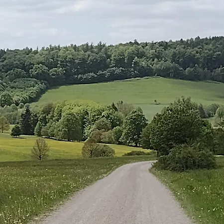 Olifant In Osterode Lägenhet *