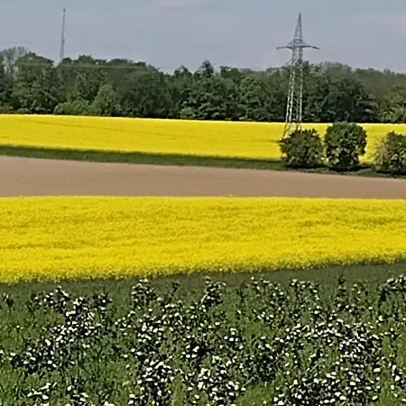 Lejlighed Olifant In Osterode *