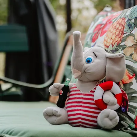 Apartment Olifant In Osterode