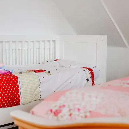 Apartment Olifant In Osterode Osterode am Harz