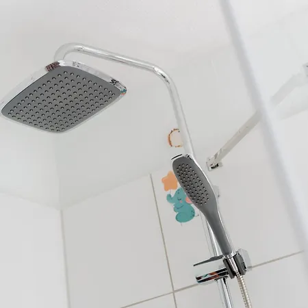 Olifant In Osterode *