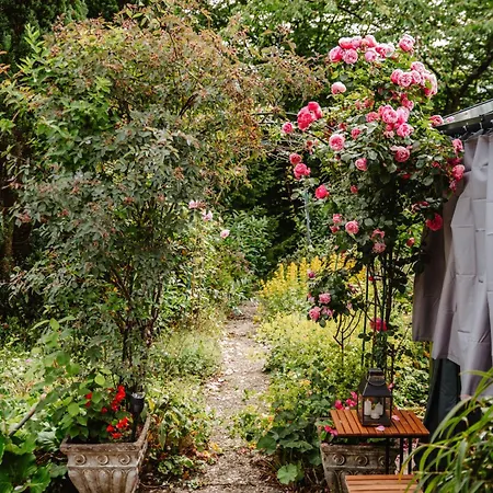 Apartment Olifant In Osterode *