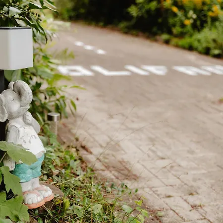 Apartment Olifant In Osterode Osterode am Harz