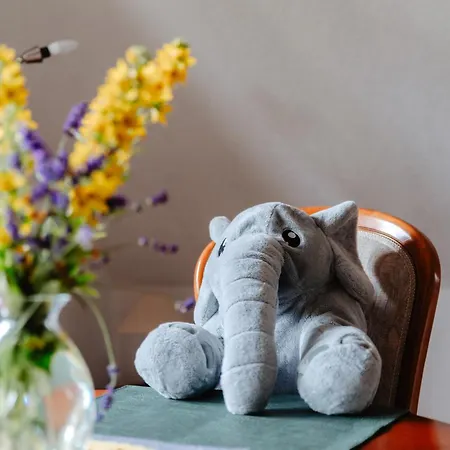 Olifant In Osterode *