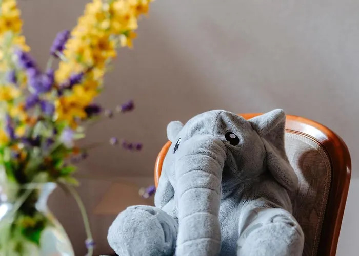 Olifant In Osterode *